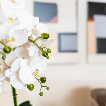 Apartment Guestready - Premium In