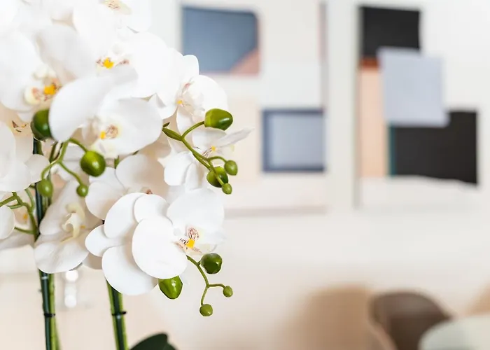 Lägenhet Guestready - Premium In